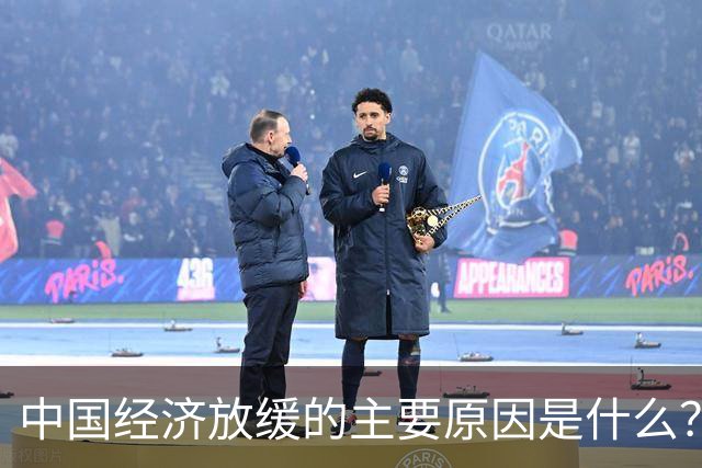 中国经济放缓的主要原因是什么？