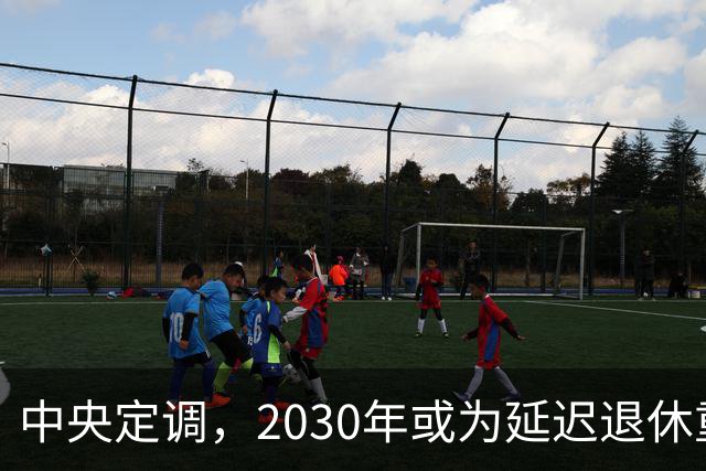 中央定调，2030年或为延迟退休重要分水岭，几项变化达标了么？