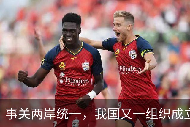 事关两岸统一，我国又一组织成立，台一“邦交”紧急向我国喊话