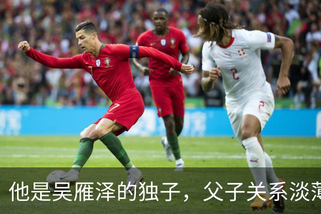 他是吴雁泽的独子，父子关系淡薄，与母亲定居温哥华，如今是律师