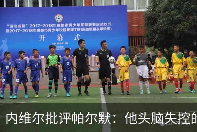 内维尔批评帕尔默：他头脑失控的行为很愚蠢，罗杰斯也该吃到红牌