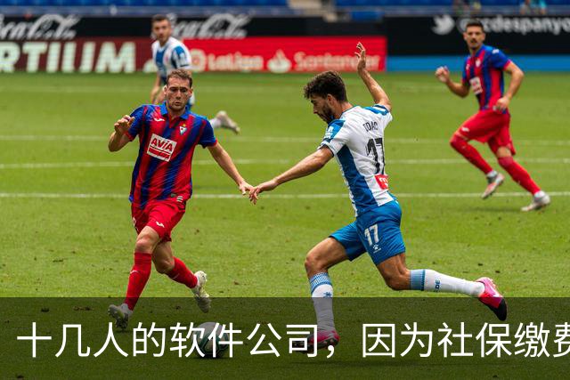 十几人的软件公司，因为社保缴费基数要调整，一年要增加50万成本