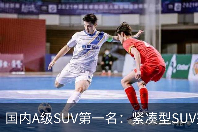 国内A级SUV第一名：紧凑型SUV冠军车，9个月时间销量破14万台