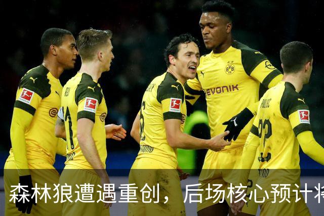 森林狼遭遇重创，后场核心预计将缺席两个月的时间？