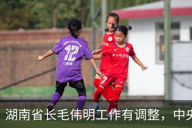 湖南省长毛伟明工作有调整，中央决定他不再担任省委副书记职务