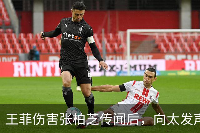 王菲伤害张柏芝传闻后，向太发声，她早爆料王菲和李小冉是一类人