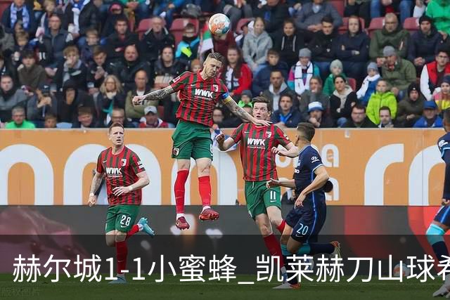 赫尔城1-1小蜜蜂 凯莱赫刀山球希基送点 麦克伯尼点射瓦塔拉扳平