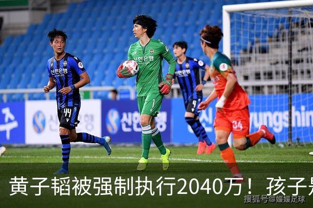黄子韬被强制执行2040万！孩子是美国籍，已不是第一次出事