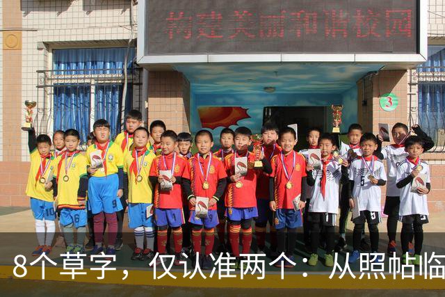 8个草字，仅认准两个：从照帖临写到独立创作，中间要补哪几课？