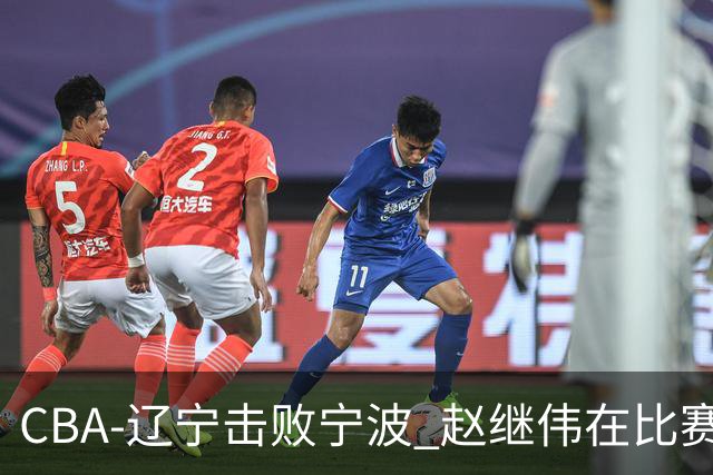 CBA-辽宁击败宁波 赵继伟在比赛中